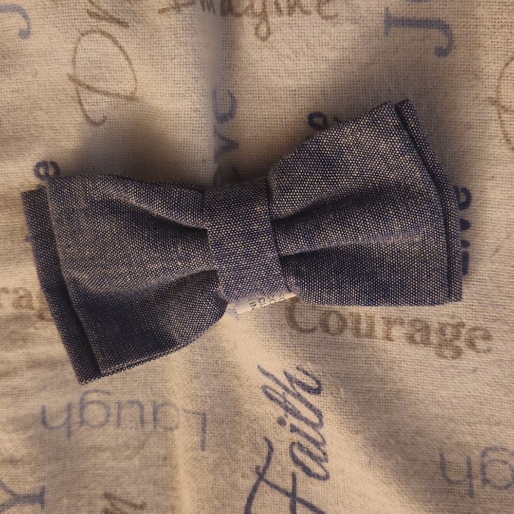 Dapper dude bowtie